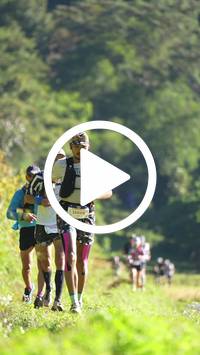 BIB:  <button type="button" onclick="openModal(26573432)" class="btn btn-primary btn-sm float-right" data-toggle="modal" data-target=".modal-high-quality">
                <i class="fa fa-download"></i> Download
                </button>